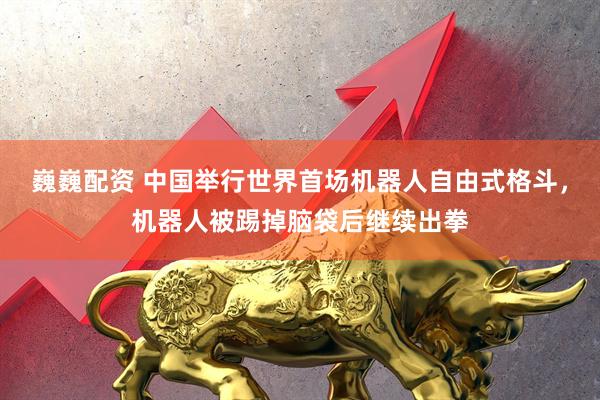 巍巍配资 中国举行世界首场机器人自由式格斗，机器人被踢掉脑袋后继续出拳